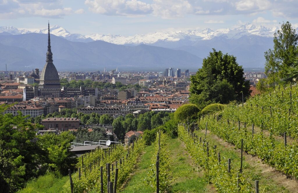 Nonmisvegliate torino 2994538